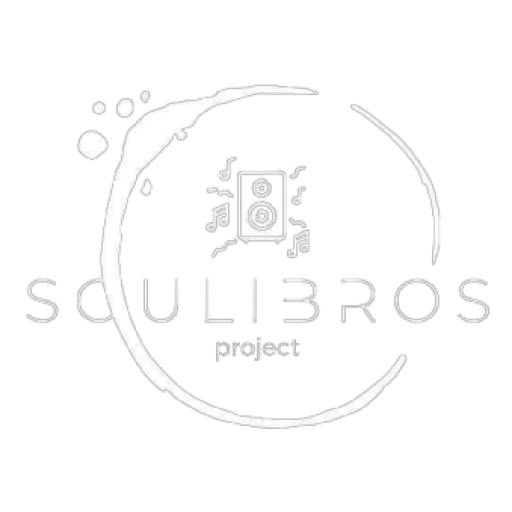 soulibrosproject.com